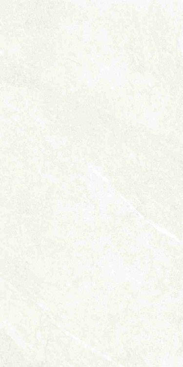 Dhara White Matte 24 x 48